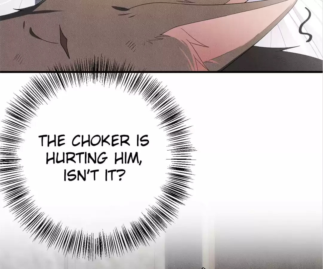 Read Tying up My Wolf (Colored) chapter 19 image 81 on Lezhin