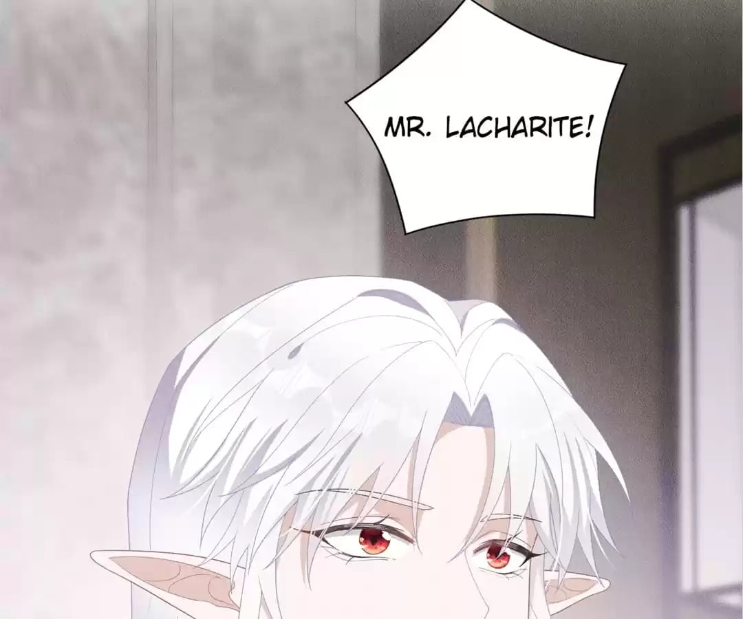 Read Tying up My Wolf (Colored) chapter 19 image 82 on Lezhin