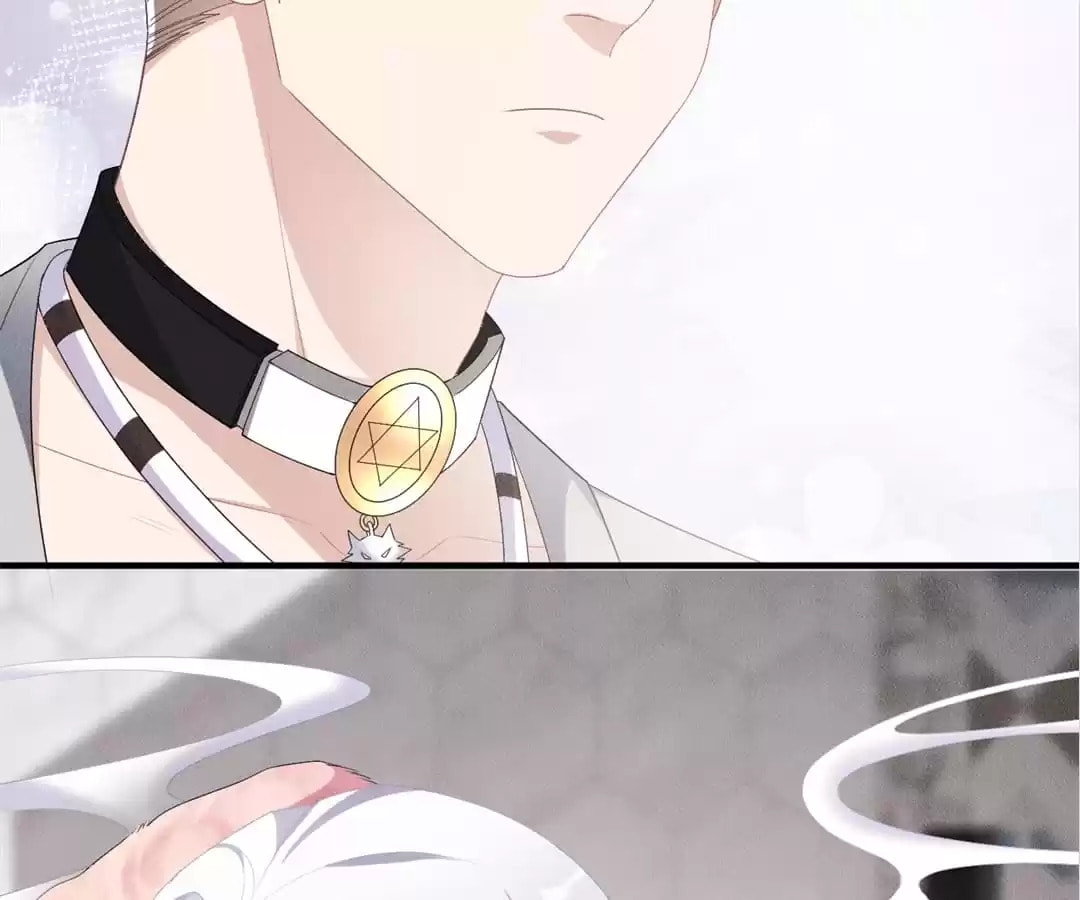 Read Tying up My Wolf (Colored) chapter 21 image 5 on Lezhin