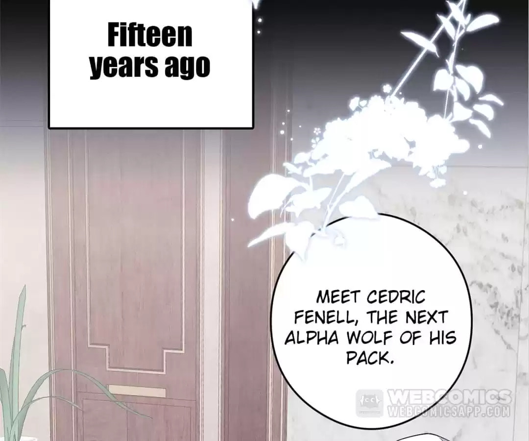 Read Tying up My Wolf (Colored) chapter 3 image 63 on Lezhin