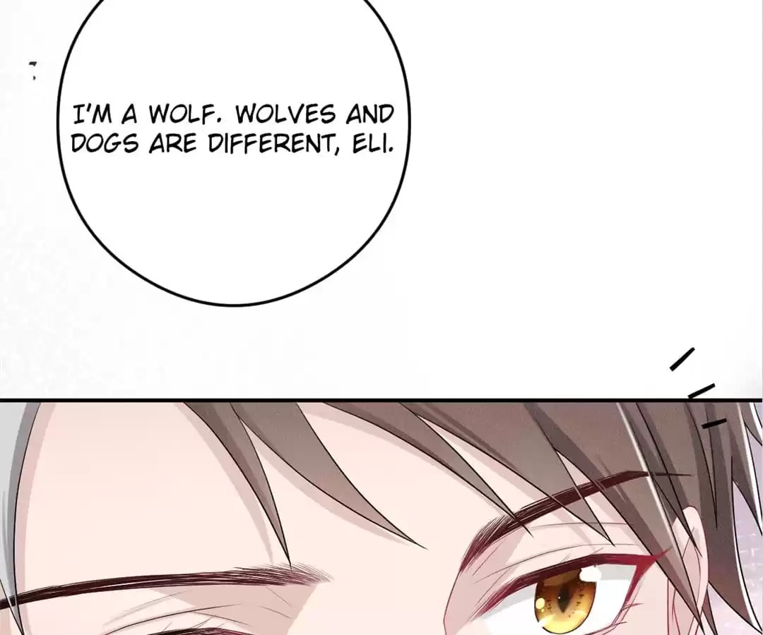 Read Tying up My Wolf (Colored) chapter 3 image 90 on Lezhin