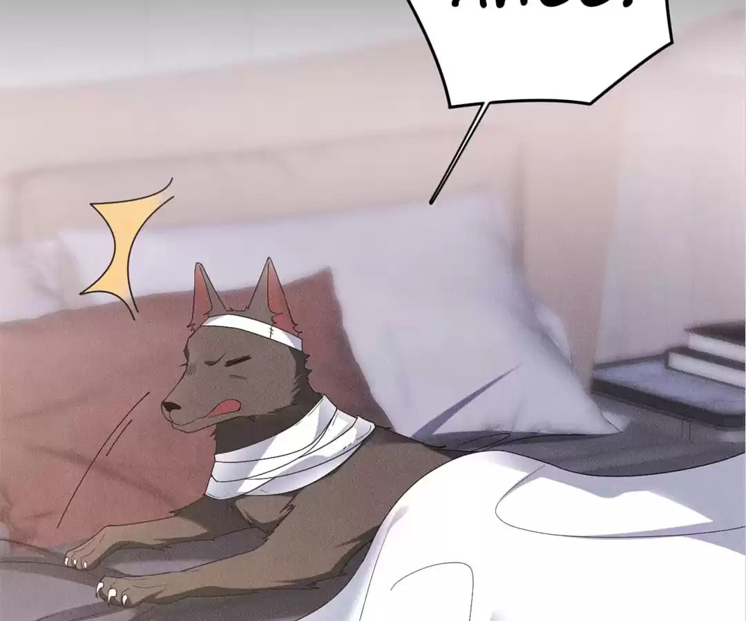 Read Tying up My Wolf (Colored) chapter 33 image 87 on Lezhin