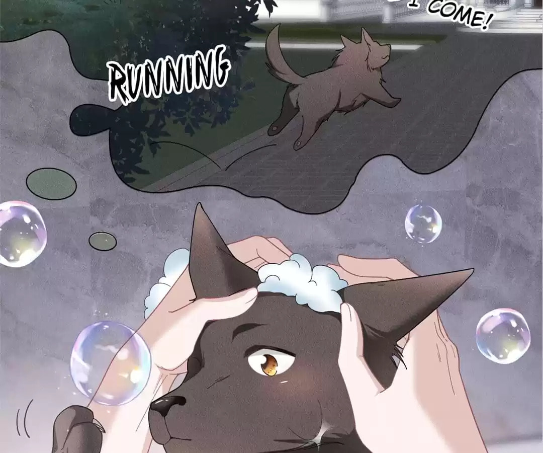 Read Tying up My Wolf (Colored) chapter 35 image 59 on Lezhin