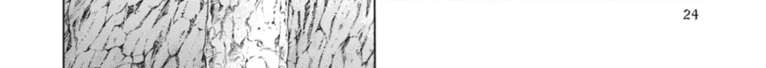 Read Ubel Blatt chapter 122 image 33 on Lezhin