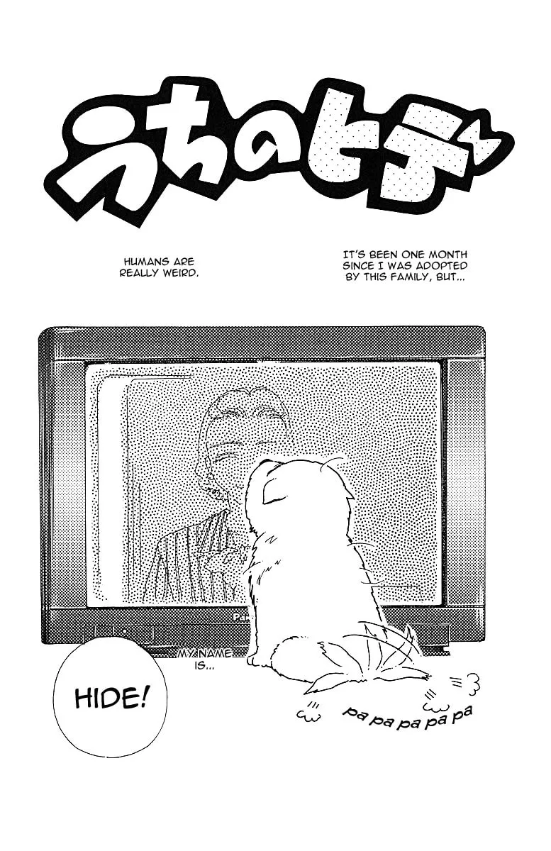 Read Uchi no Hide chapter 0 image 4 on Lezhin