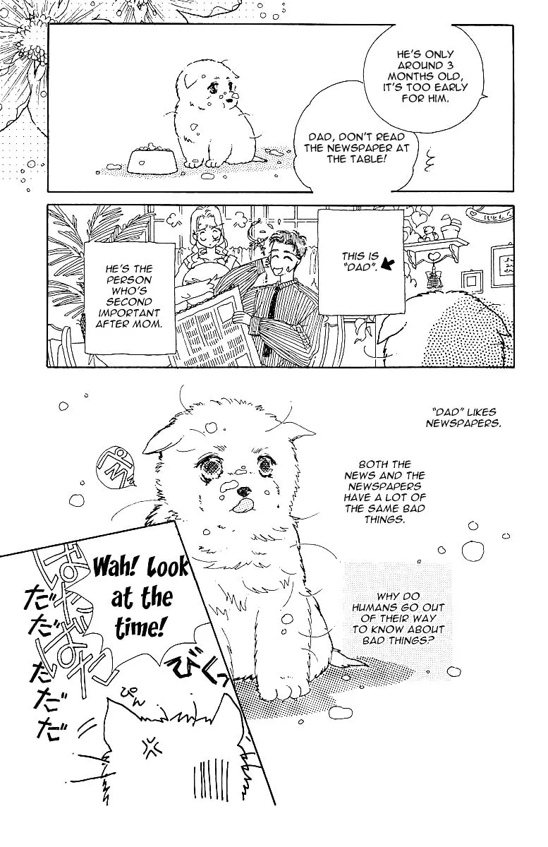 Read Uchi no Hide chapter 0 image 6 on Lezhin
