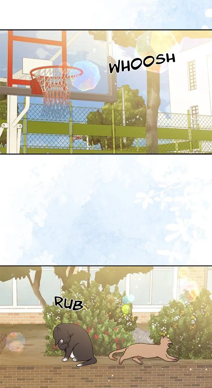 Read Ugly Duckling Complex chapter 25 image 74 on Lezhin