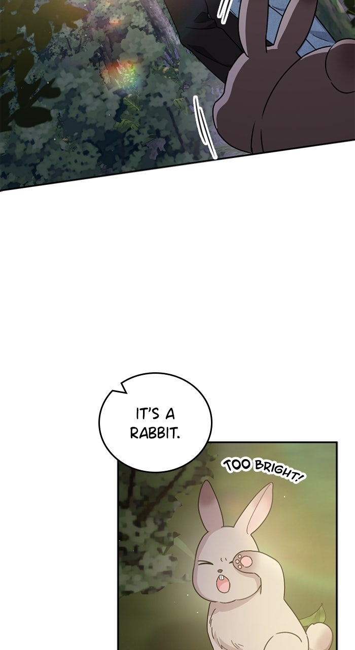 Read Ugly Duckling Complex chapter 56 image 76 on Lezhin