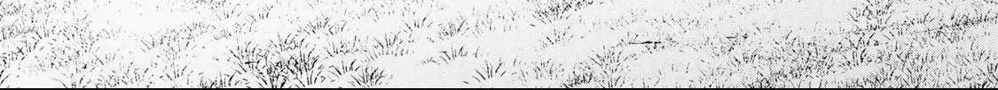 Read UmaYon - Mini chapter 39 image 21 on Lezhin