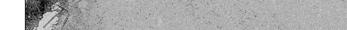 Read Under Ninja chapter 130 image 13 on Lezhin