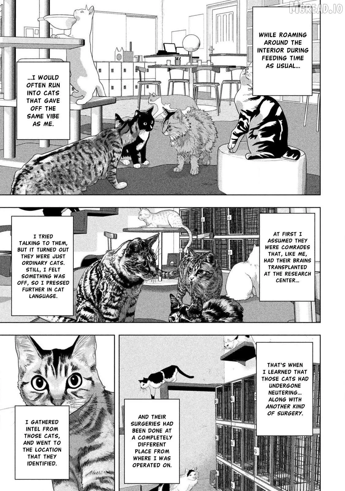Read Under Ninja chapter 162 image 14 on Lezhin