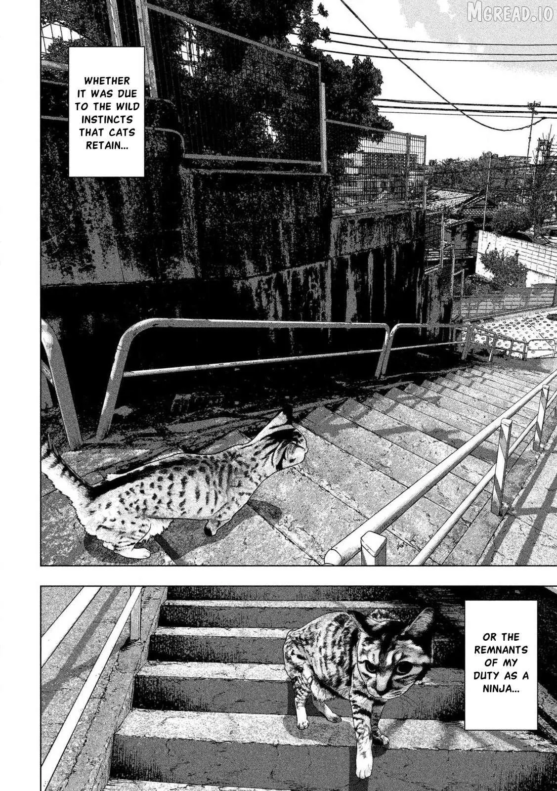 Read Under Ninja chapter 162 image 15 on Lezhin