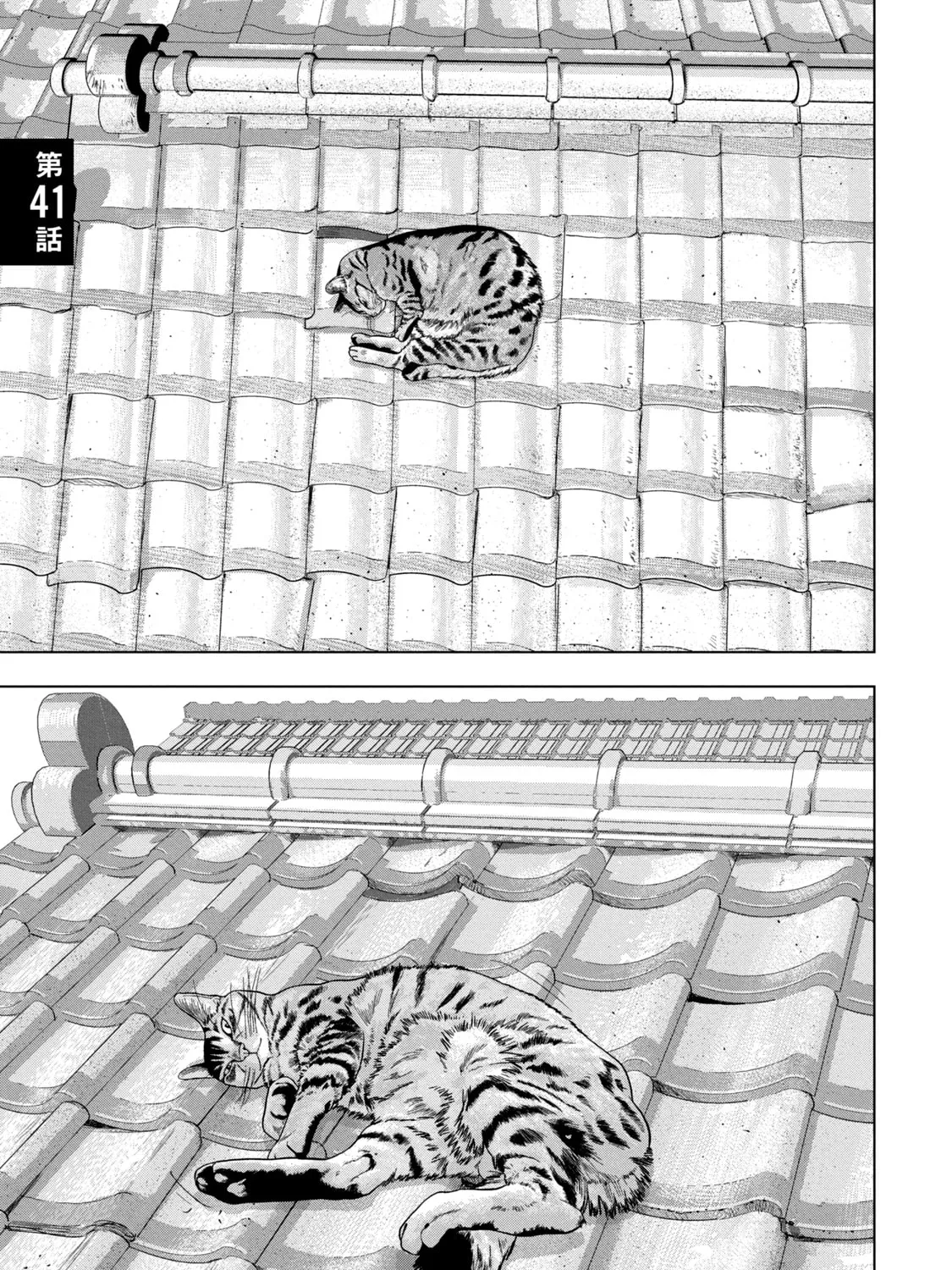 Read Under Ninja chapter 41 image 0 on Lezhin