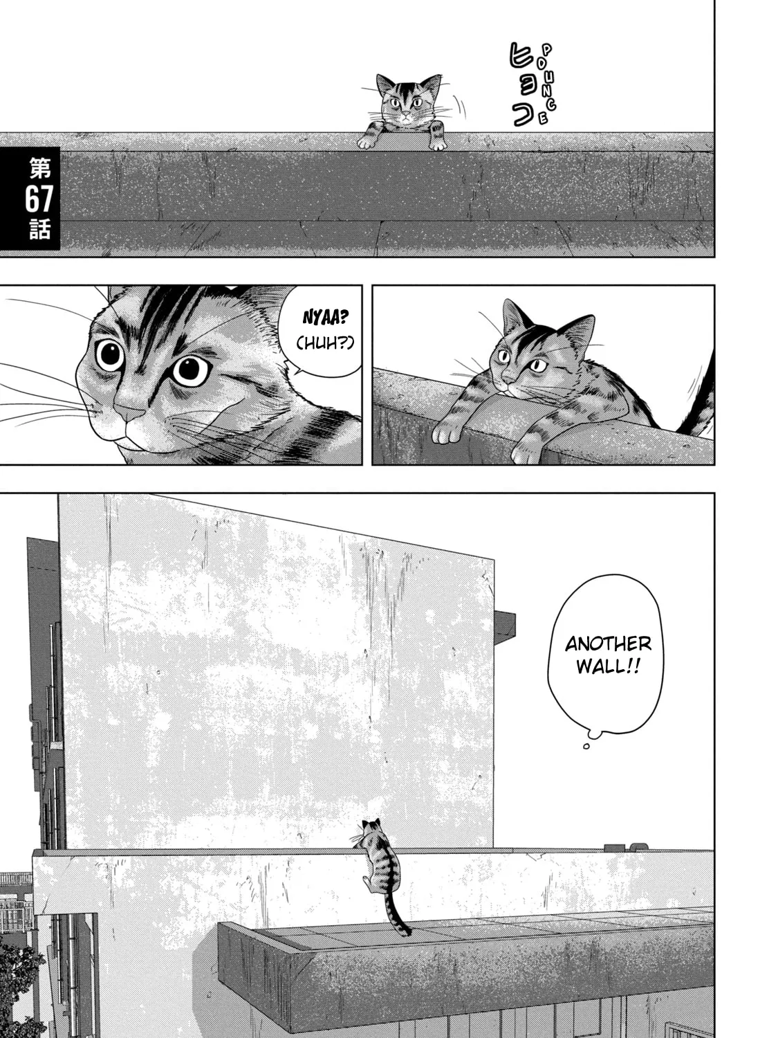 Read Under Ninja chapter 67 image 0 on Lezhin