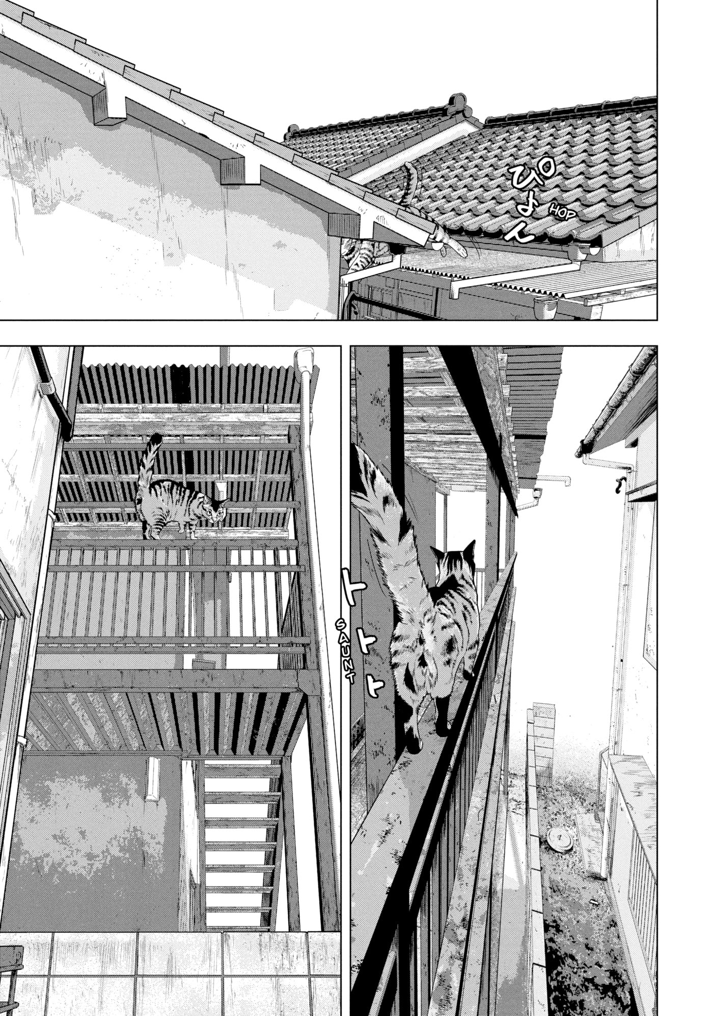 Under Ninja Chapter 41 page 5 - 