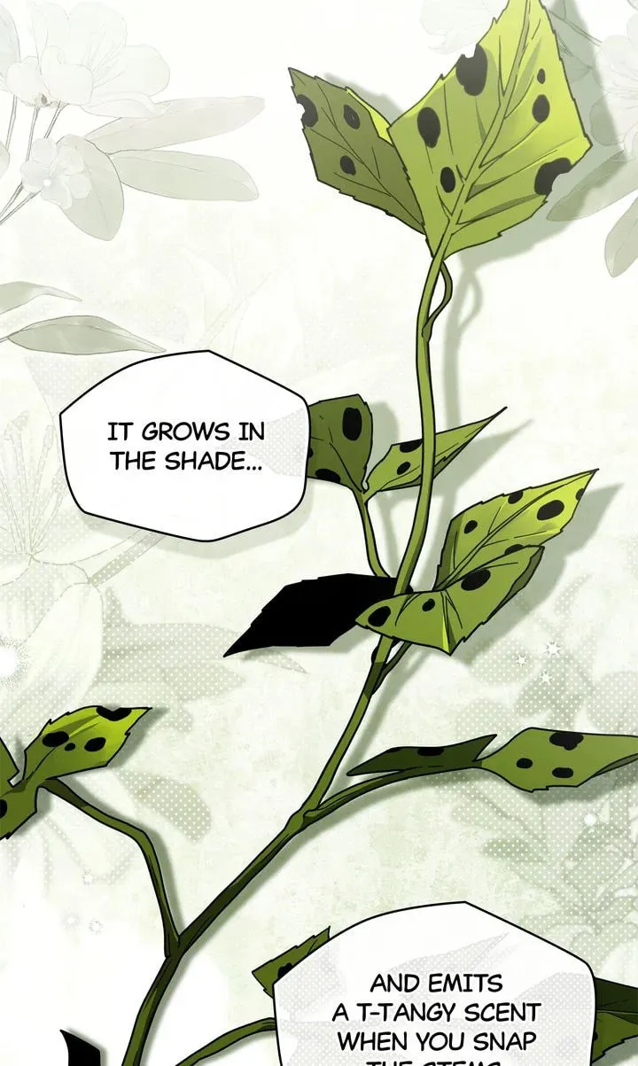 Read Under the Oak Tree chapter 117 image 6 on Lezhin
