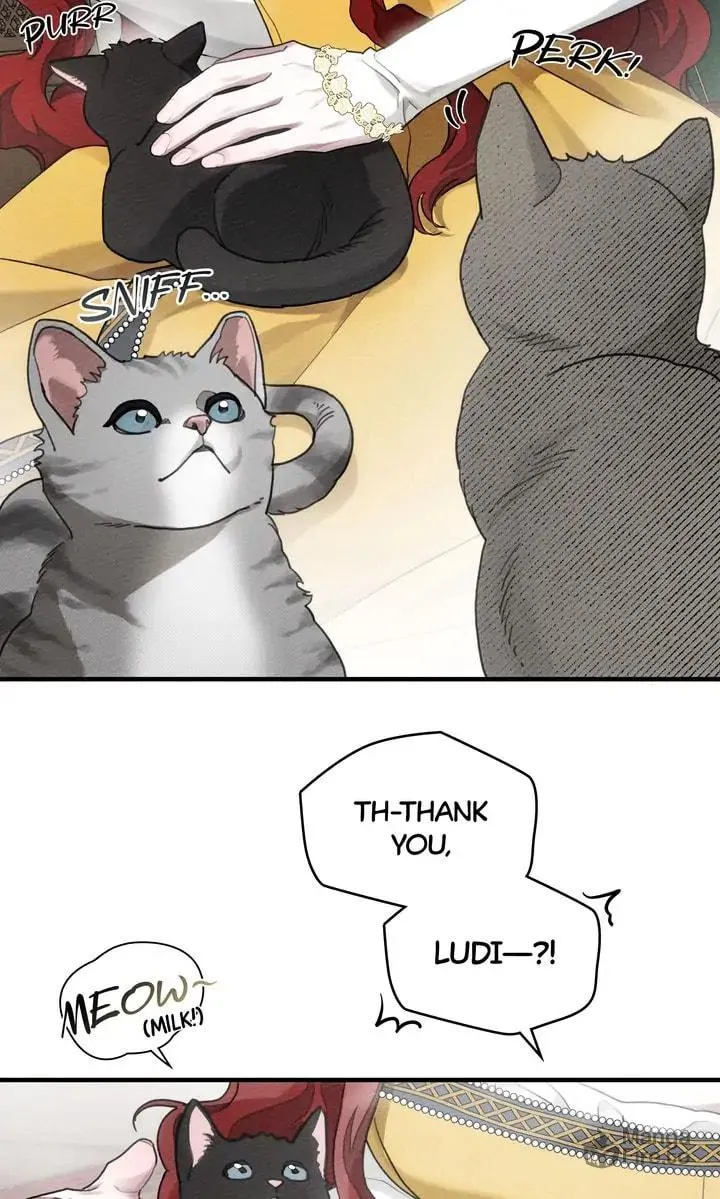 Read Under the Oak Tree chapter 56 image 68 on Lezhin