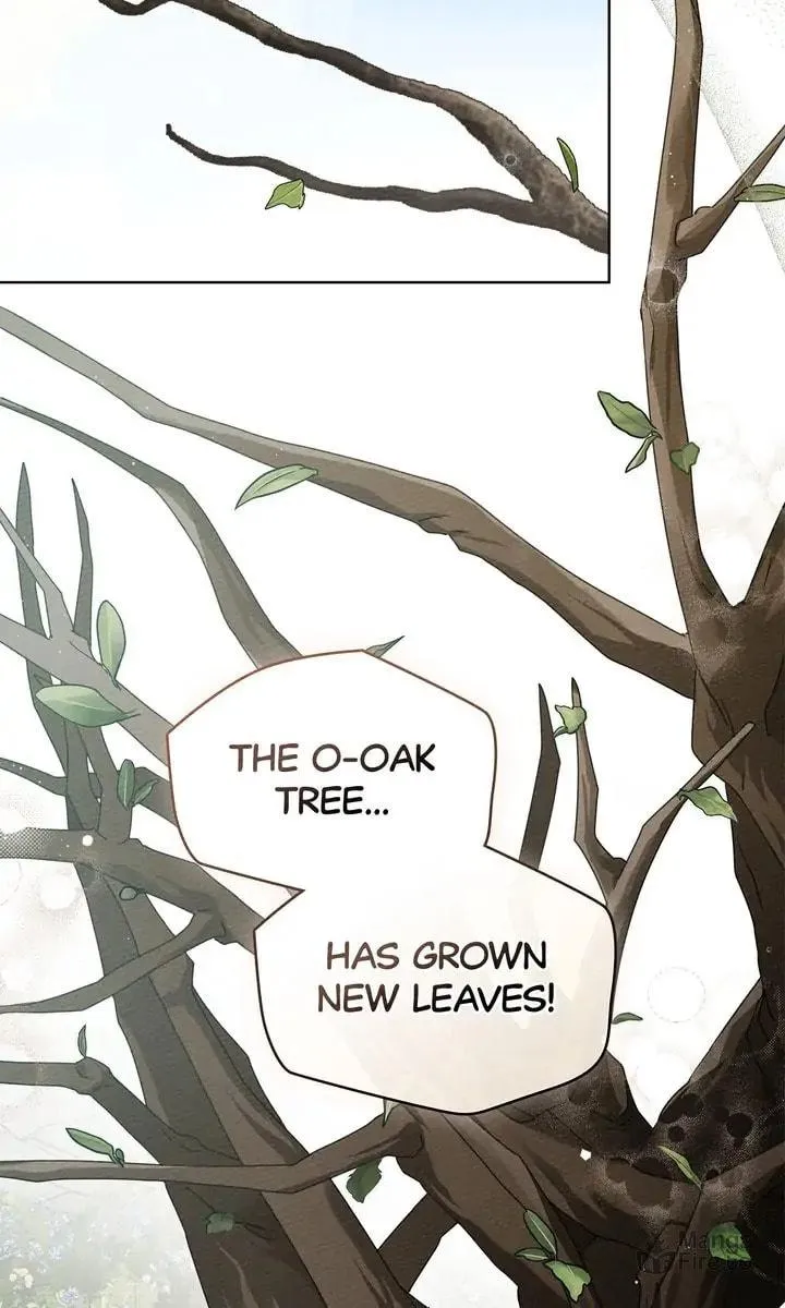 Read Under the Oak Tree chapter 78 image 35 on Lezhin
