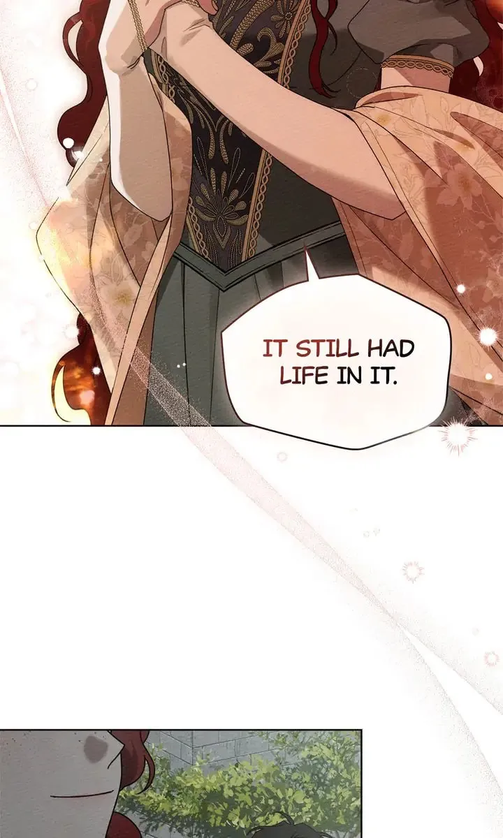 Read Under the Oak Tree chapter 78 image 40 on Lezhin