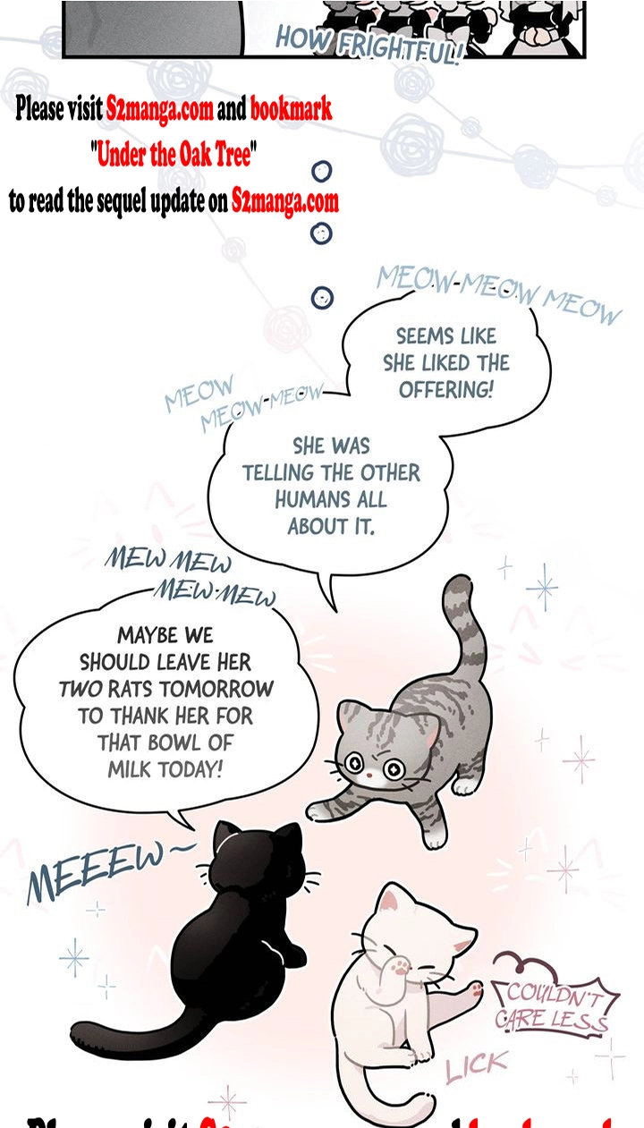 Read Under the Oak Tree chapter 85.1 image 2 on Lezhin