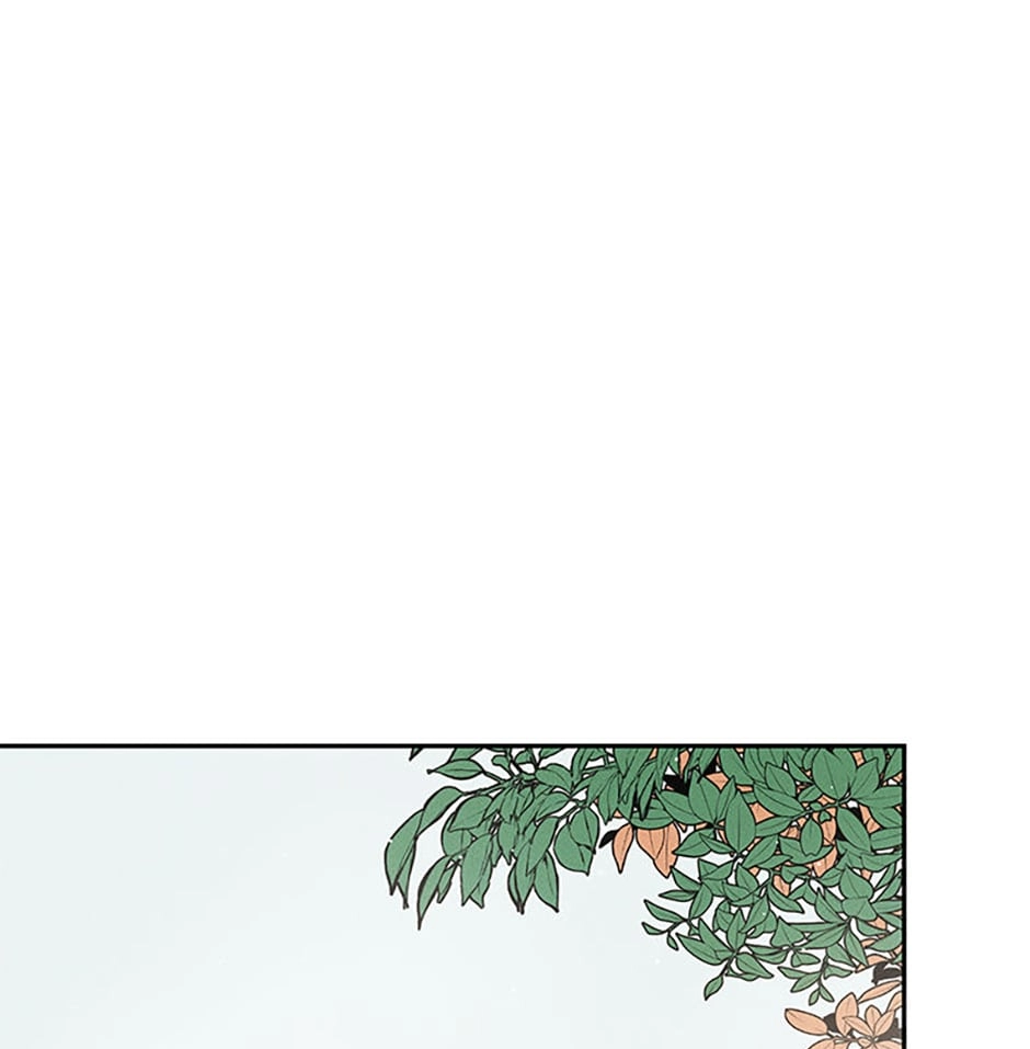 Read Under the Plum Blossom Tree chapter 10 image 81 on Lezhin