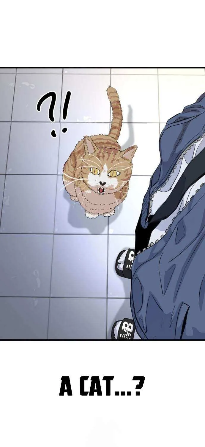 Read Underboxer chapter 3 image 66 on Lezhin
