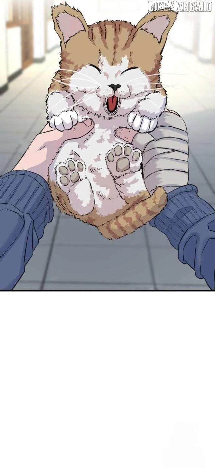 Read Underboxer chapter 3 image 68 on Lezhin