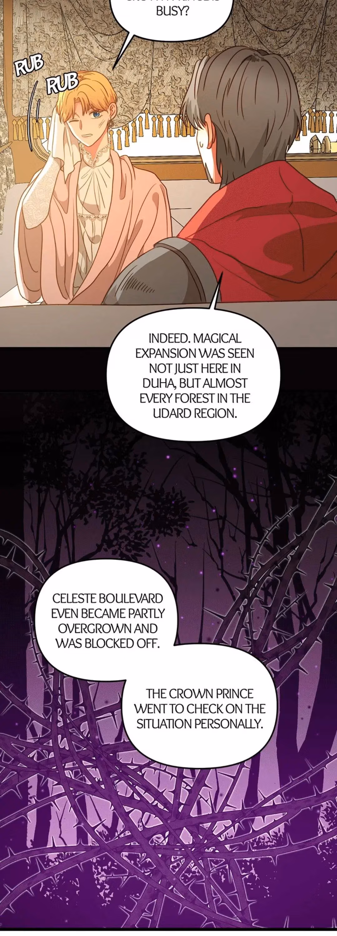 Read Undercover Empress chapter 52 image 1 on Lezhin