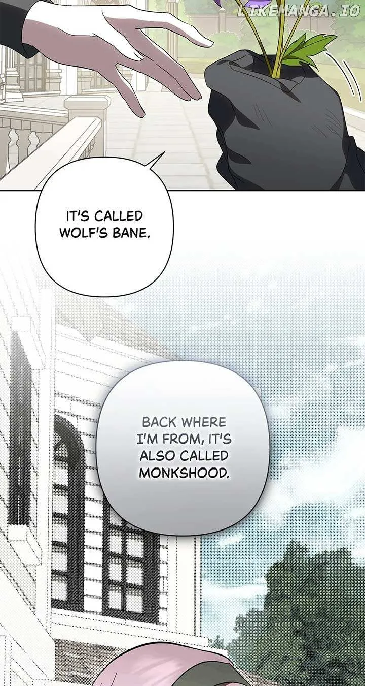 Read Undercover Princess chapter 56 image 87 on Lezhin