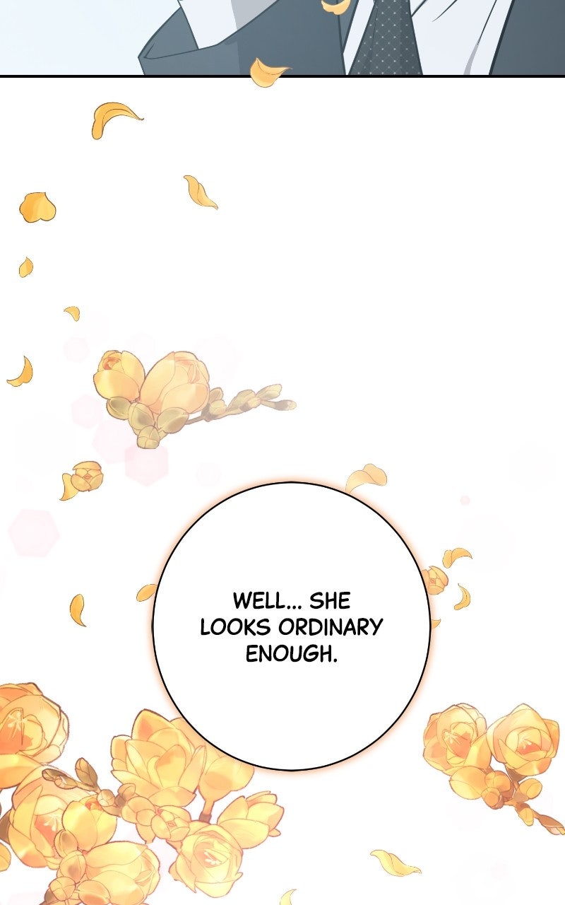 Read Undercover Wife chapter 19 image 76 on Lezhin