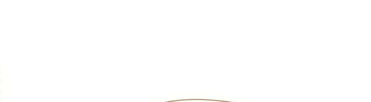 Read Underworld Restaurant chapter 18 image 52 on Lezhin