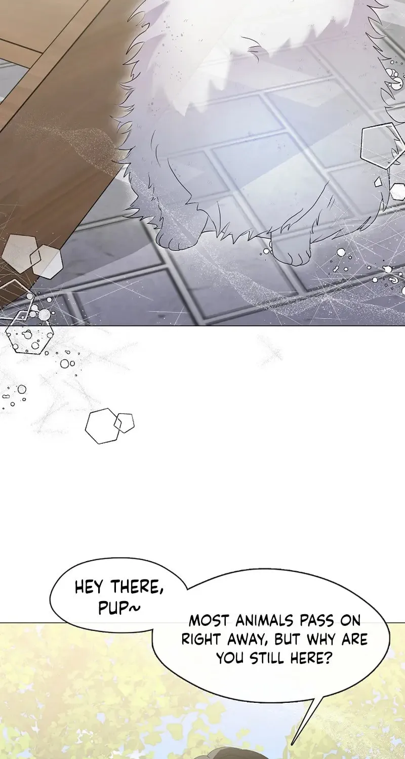 Read Underworld Restaurant chapter 85 image 19 on Lezhin