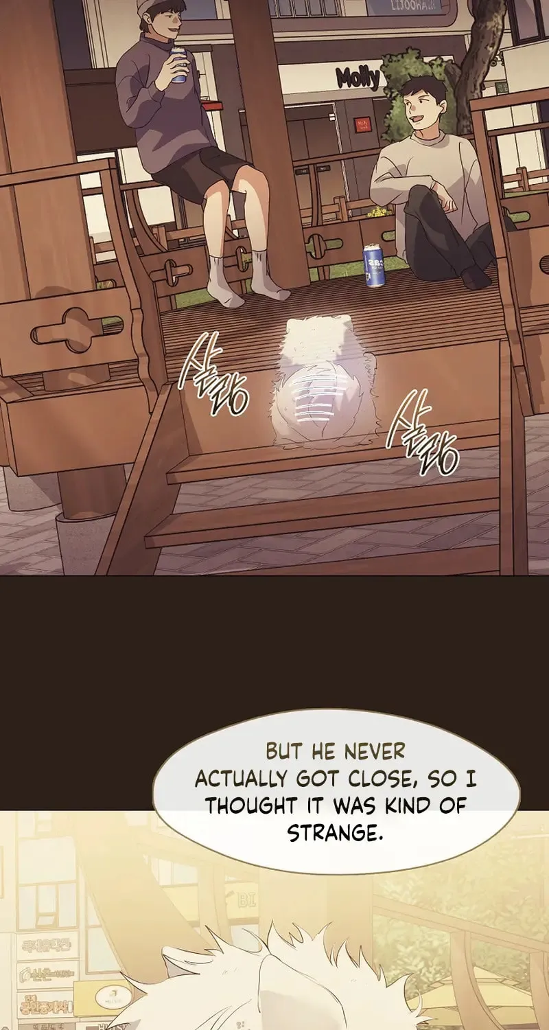 Read Underworld Restaurant chapter 85 image 28 on Lezhin