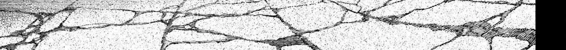 Unknown Title Chapter 41 page 19 - 