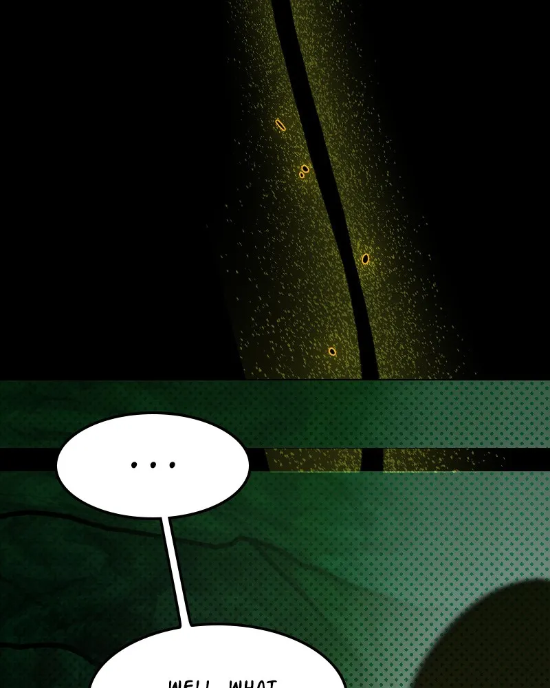 Unlucky is as Lucky does Chapter 177 page 14 - 