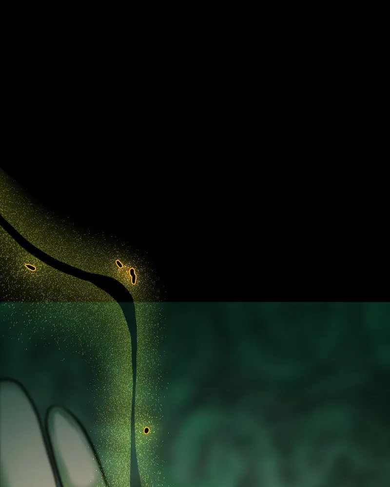 Unlucky is as Lucky does Chapter 177 page 10 - 
