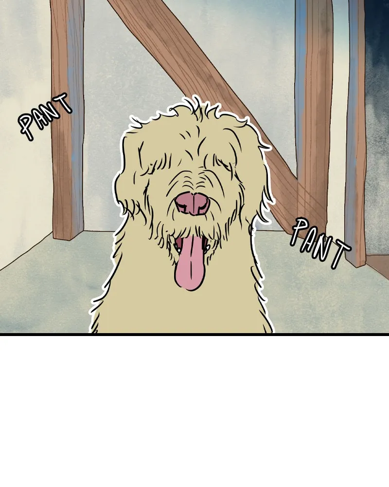 Unlucky is as Lucky does Chapter 193 page 19 - 