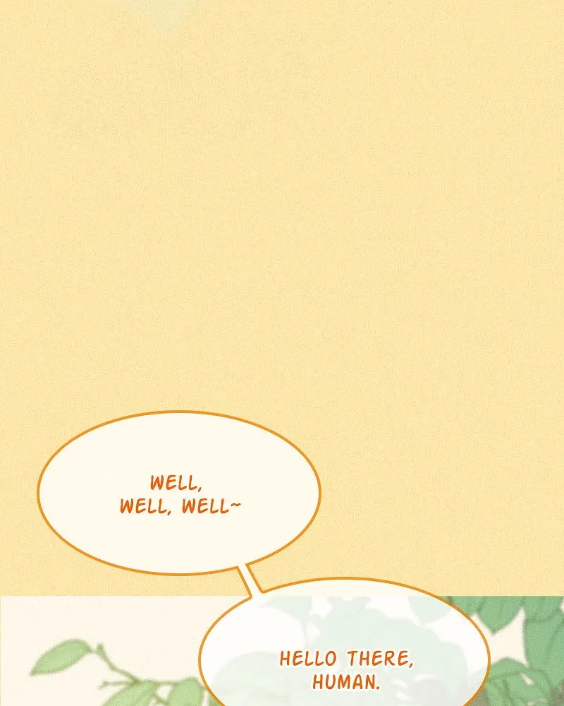 Unlucky is as Lucky does Chapter 199 page 29 - 