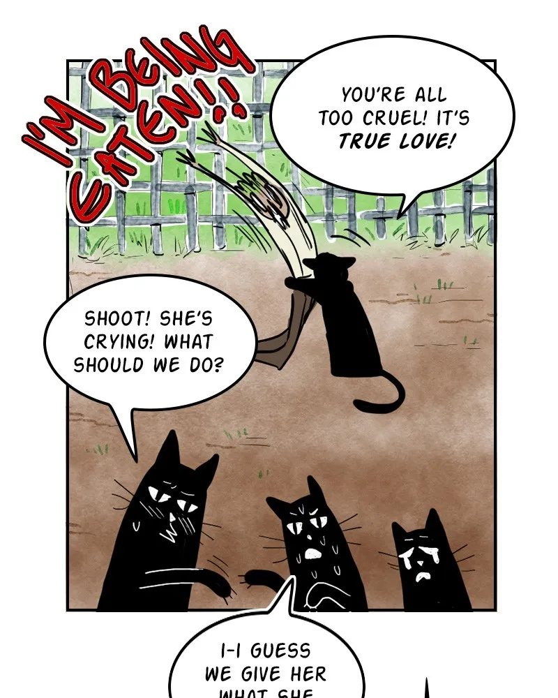 Unlucky is as Lucky does Chapter 7 page 14 - 