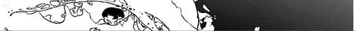 Read Until I See You Again chapter 16 image 43 on Lezhin
