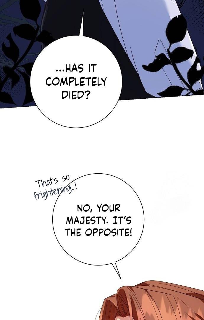 Read Until the Real One Shows Up chapter 33 image 14 on Lezhin