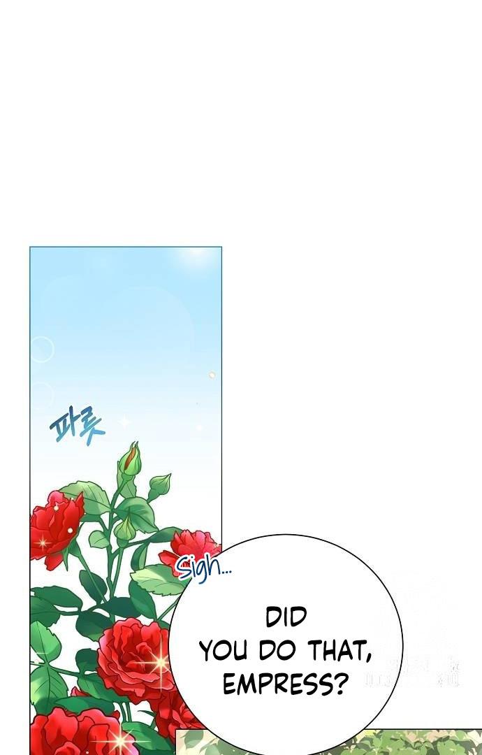 Read Until the Real One Shows Up chapter 33 image 48 on Lezhin