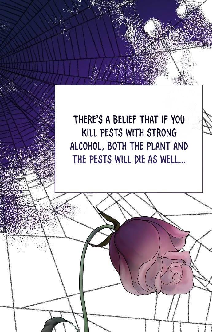 Read Until the Real One Shows Up chapter 33 image 66 on Lezhin