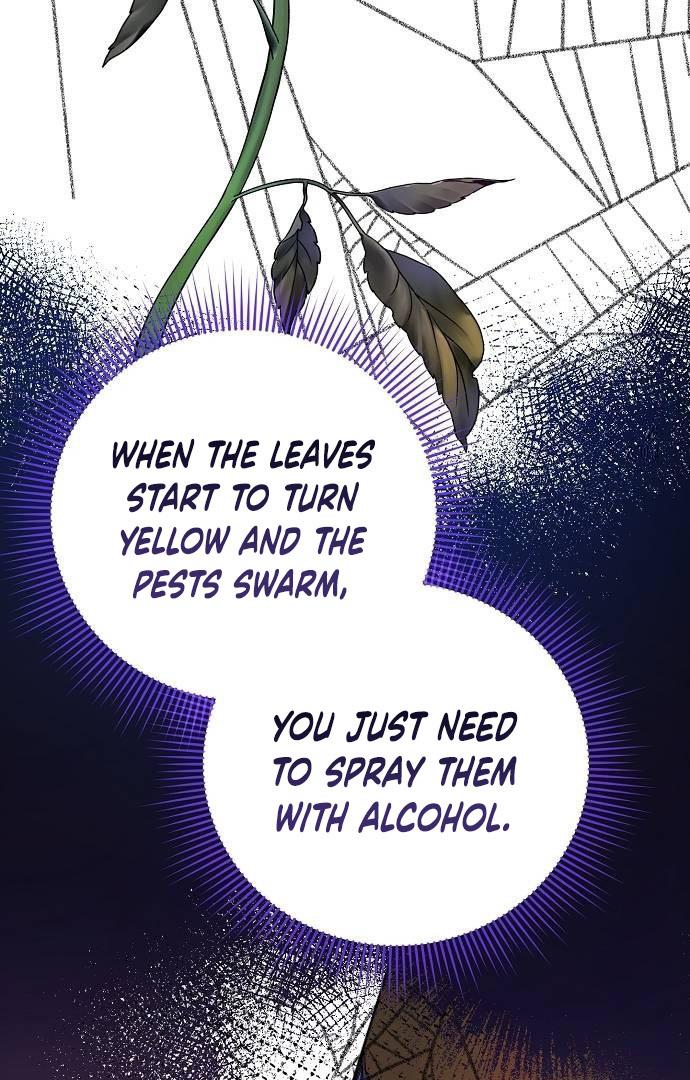 Read Until the Real One Shows Up chapter 33 image 67 on Lezhin