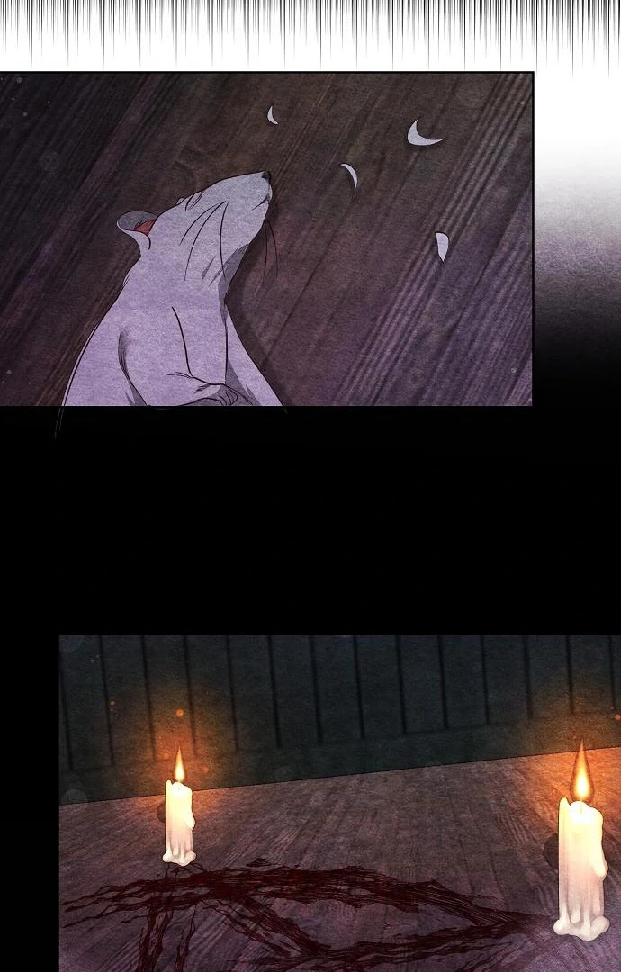 Read Until the Real One Shows Up chapter 78 image 79 on Lezhin