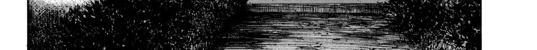 Read Until Your Bones Rot chapter 3 image 15 on Lezhin