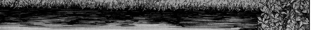 Read Until Your Bones Rot chapter 74 image 9 on Lezhin