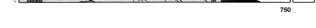 Read Upotte!! chapter 58 image 3 on Lezhin