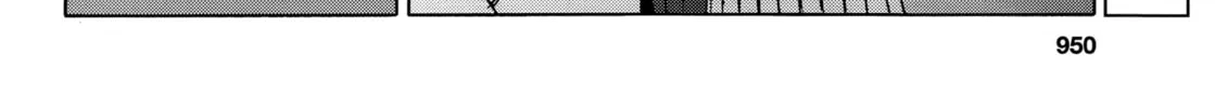 Read Upotte!! chapter 85 image 7 on Lezhin