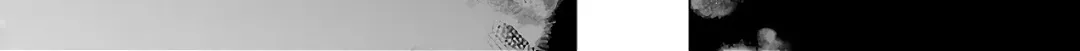 Read Urasekai Picnic chapter 42 image 69 on Lezhin